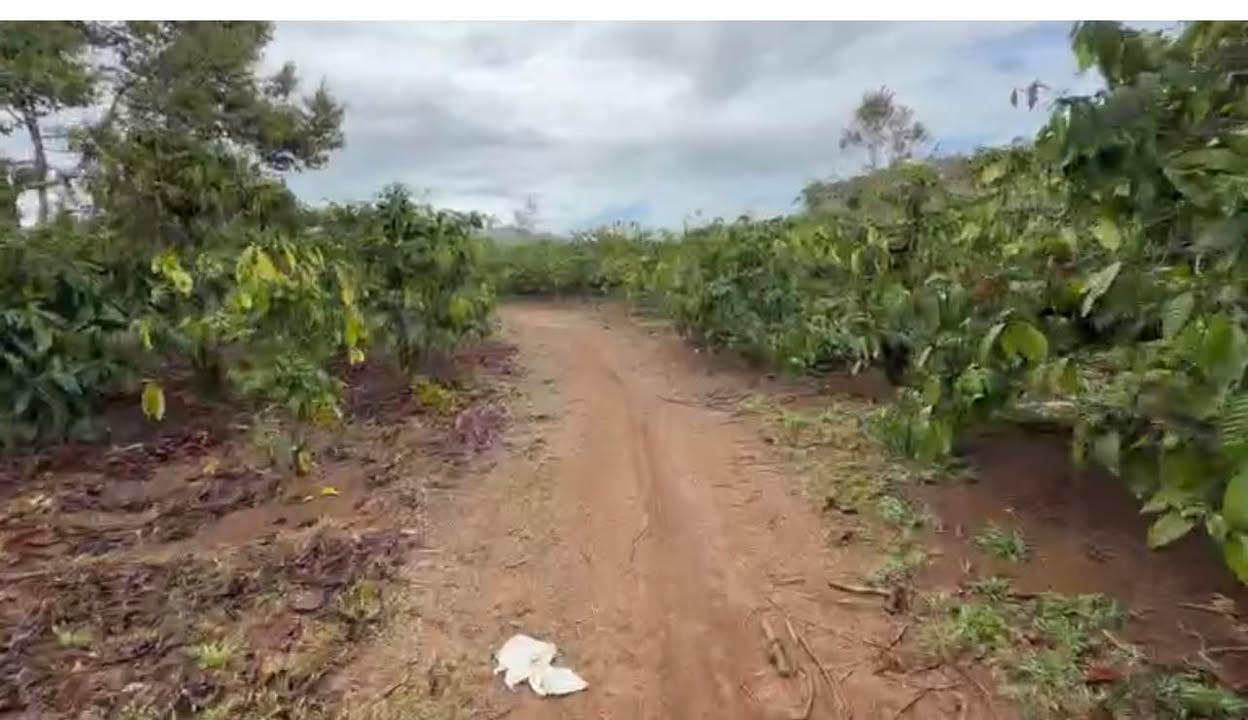 Đất nền Đắk R'Tíh, Tuy Đức 2.4 ha - Tiềm năng tăng giá lớn!