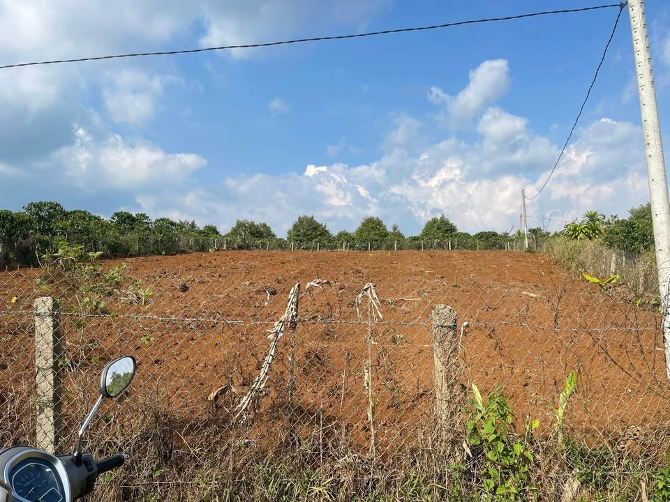 Đất vườn Di Linh 1600m² giá 1.15 tỷ - Nghỉ dưỡng lý tưởng!