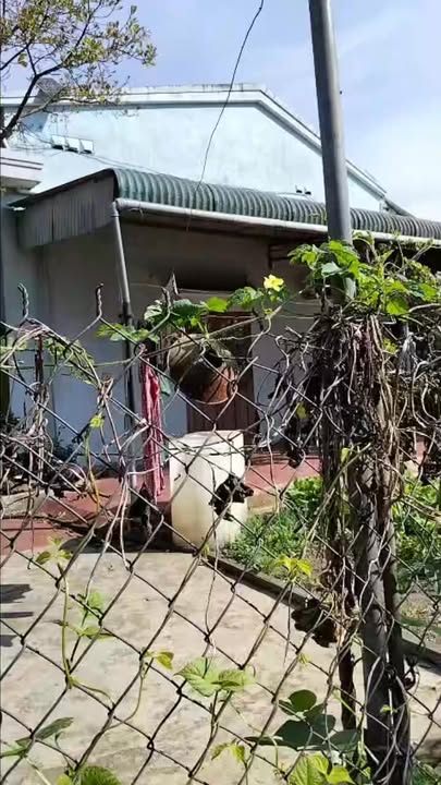 Đất Nền Lộc Phú, Bảo Lâm 2884m² - Sẵn Sàng Xây Dựng, Giá 4.3 Tỷ