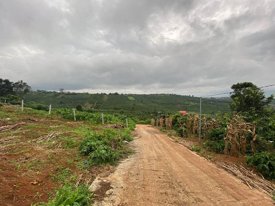 Đất nền Đinh Lạc, Di Linh 545m² - Sổ đỏ chính chủ!