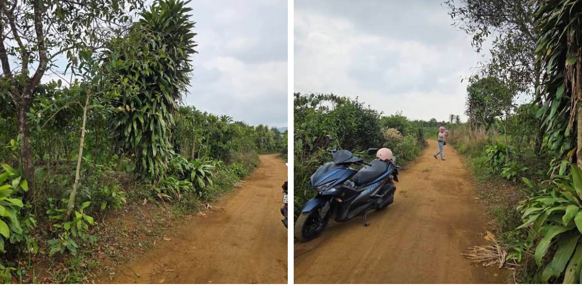 Bán 27.600m² Đất Đỏ Bằng Phẳng Tại Lộc Tân, Bảo Lâm - Giá Đầu Tư 400 Triệu