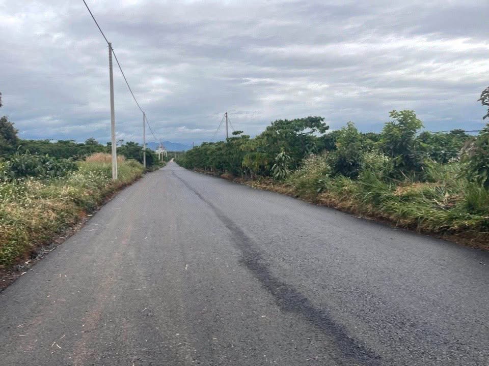 Đất nền Tân Lạc Bảo Lâm 2700m² - Đường to ô tô, sổ đỏ chính chủ!