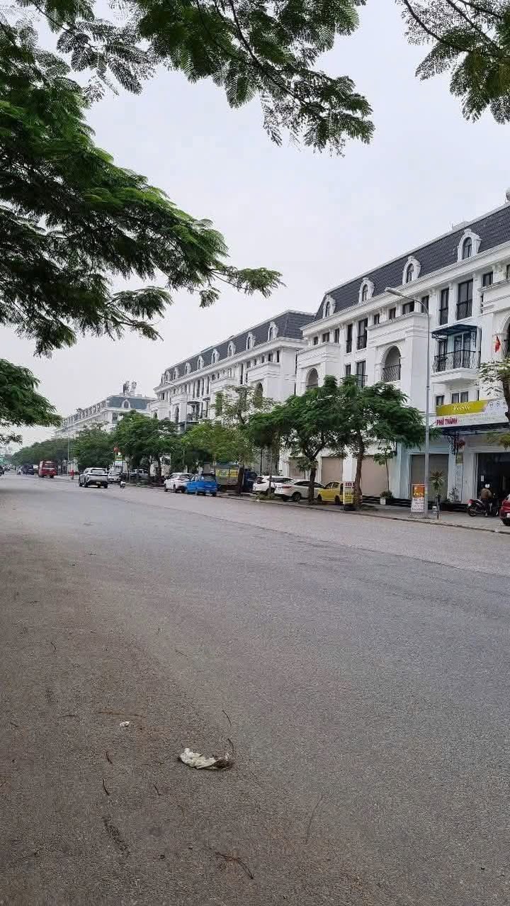 Mặt Bằng Văn Phòng Lê Chân Hải Phòng - Vị trí đắc địa, sẵn sàng kinh doanh!