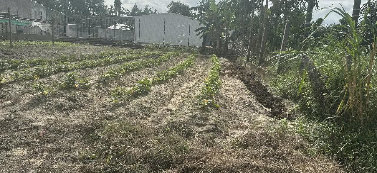 Đất nền Nghĩa Kỳ 100m² giá 390 triệu - Tiềm năng tăng giá!