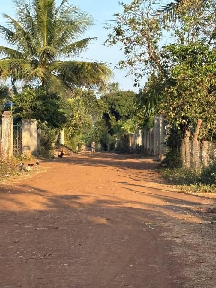 Đất nền Ea Phê Krông Pắc từ 250m² giá 399 triệu - Sổ đỏ sẵn