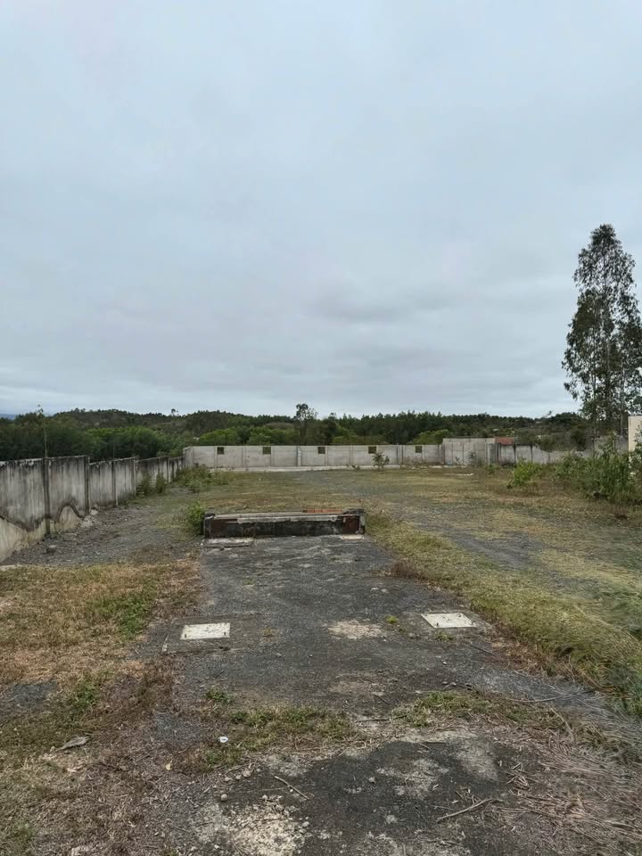 Đất 3000m² Đắk Lắk - Sẵn Thổ Cư, Mặt Tiền Đường 30m, Giá Đầu Tư