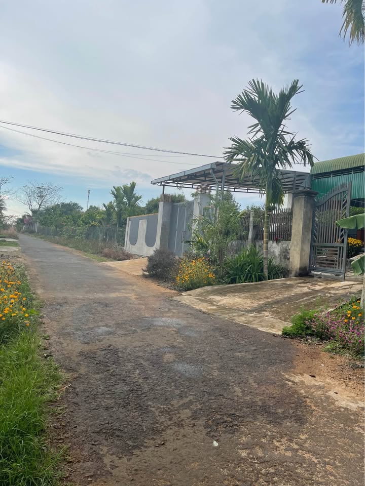 Đất thổ cư Eakao, Buôn Đôn 300m² - Sổ đỏ sẵn sàng, giá 1.15 tỷ