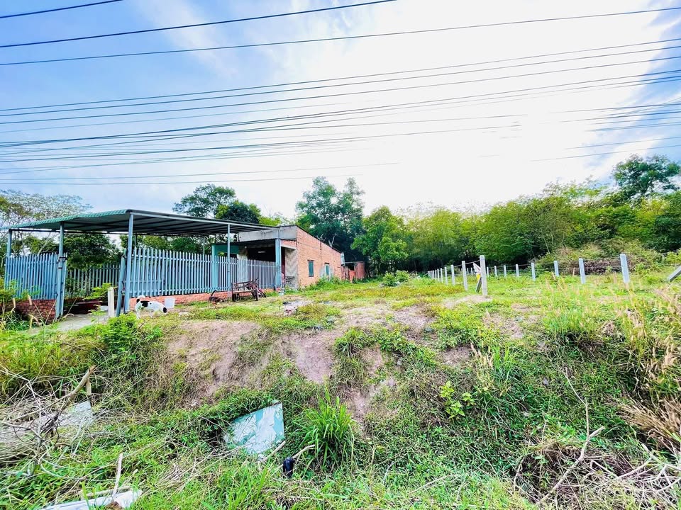 Đất Mặt Tiền ĐT748 Bến Cát 430m² - Kinh Doanh Đa Ngành, Giá 4 Tỷ