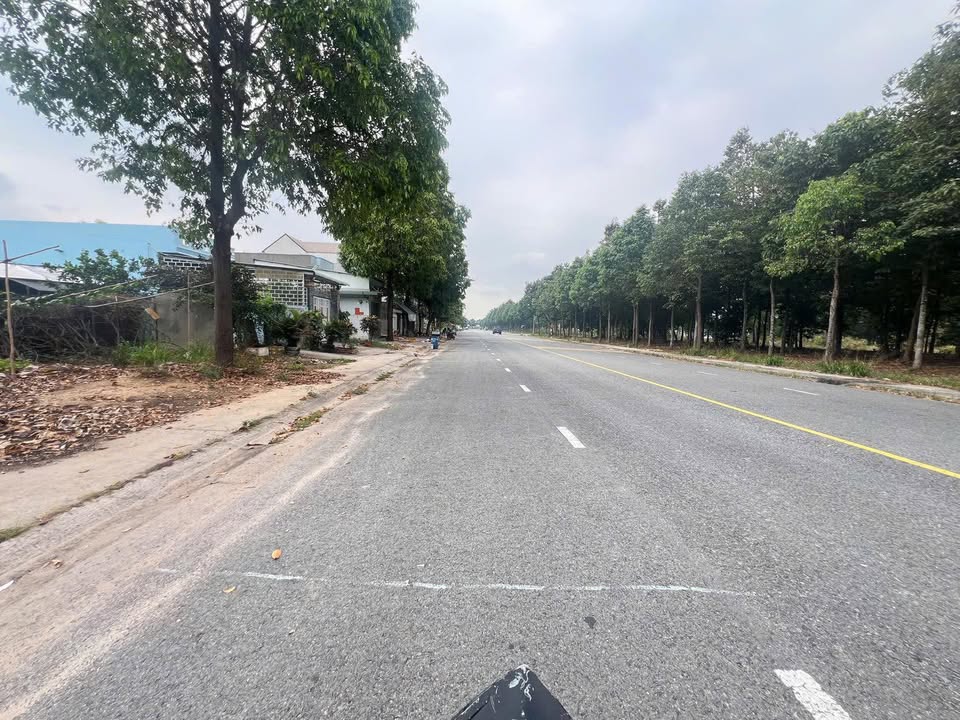 Đất nền Bàu Bàng 300m² 4 tỷ - Đầu tư sinh lời ngay!