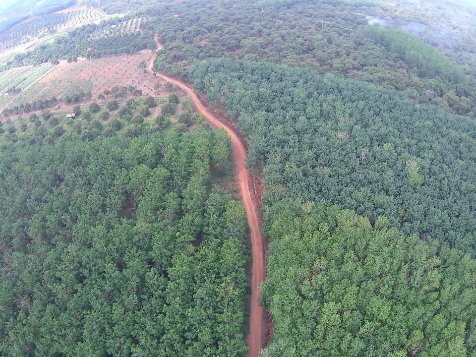 Đất vườn Đồng Tâm 3ha - Giá đầu tư tốt, Sổ đỏ chính chủ