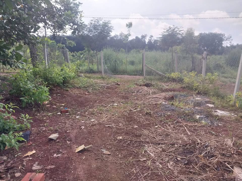 Bán Gấp Đất Vườn 1100m² Tặng Nhà Nhỏ Xinh - Minh Lập, Bình Phước