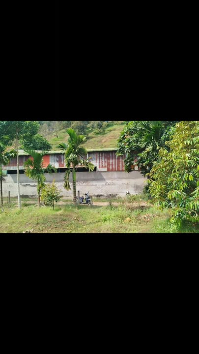 Farm Sầu Riêng 400m² Thổ Cư - Đạ Huoai, Lâm Đồng - Sẵn Sàng Đầu Tư