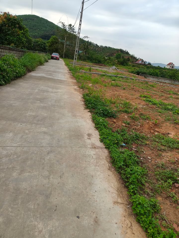 Đất nền Bình Sơn Lục Nam 200m² giá F0 - Sổ đỏ chính chủ!