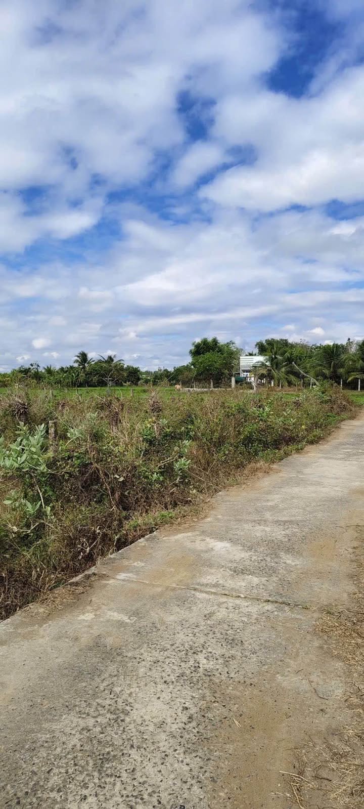 Đất nền Bình Lâm, Hàm Thuận Bắc 750m² - Sổ đỏ chính chủ