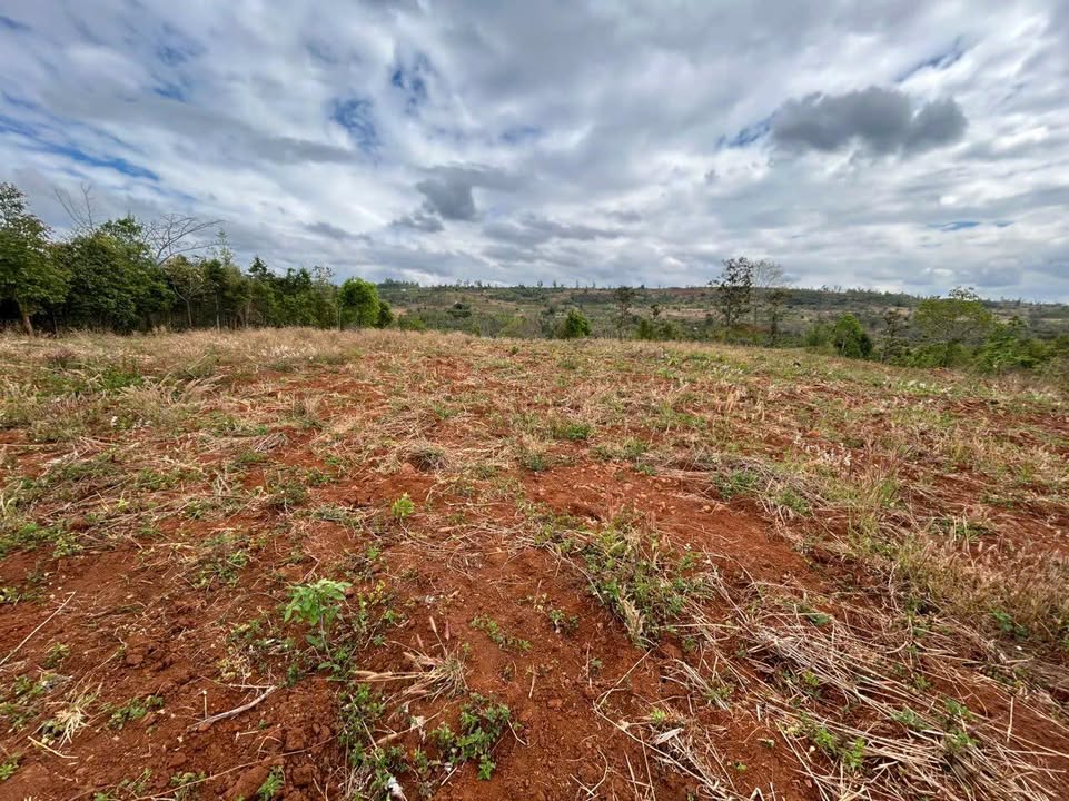 Đất Rẻ 16000m² Xã Lơ Pang, Gia Lai - Sẵn Sàng Đầu Tư