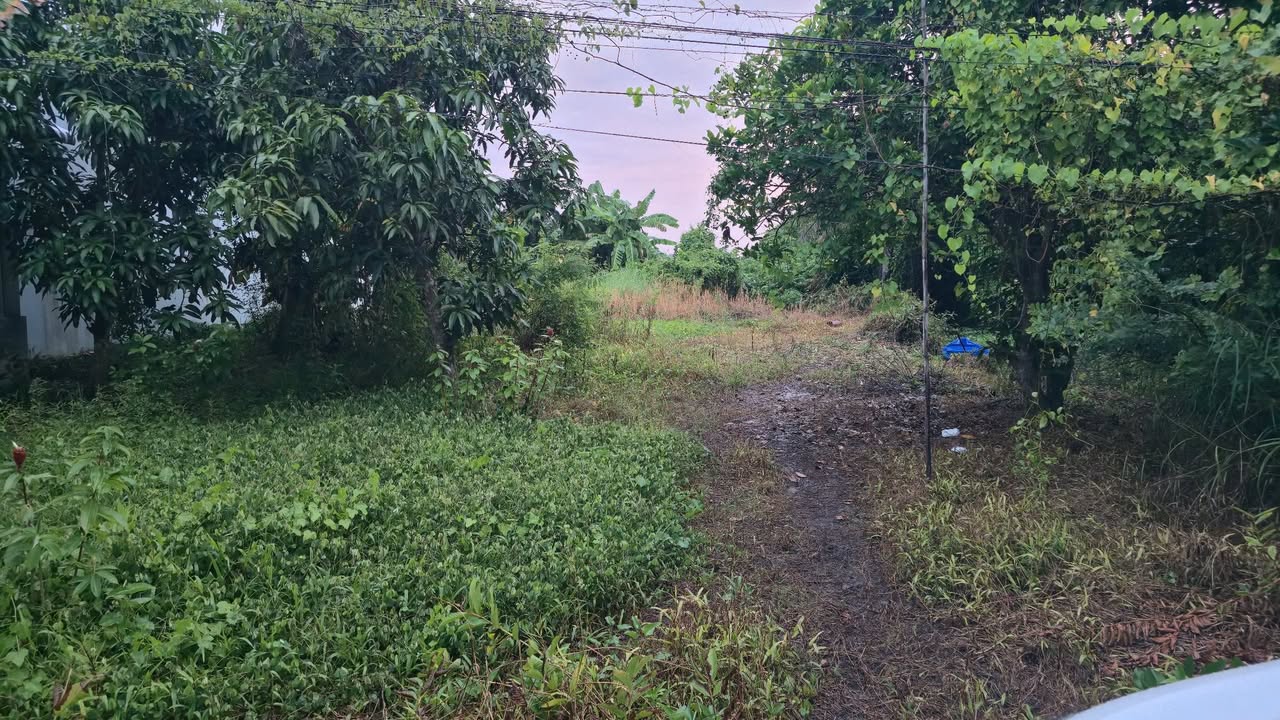 Đất nền U Minh Thượng 1152m² - Sổ đỏ chính chủ, lộ nhựa 6m!