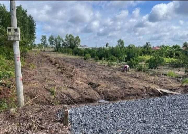 Đất Vườn Long An 1000m² Sổ Hồng Sẵn - Giá Gấp 1.55 Tỷ