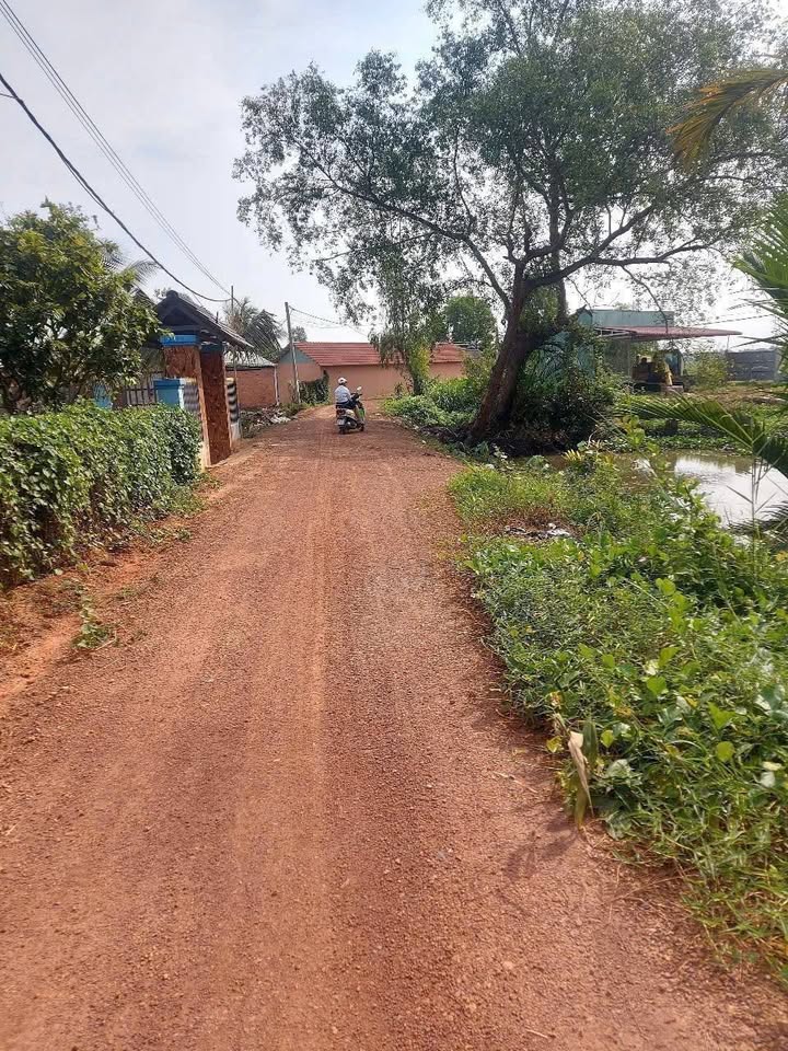 Đất nền Thanh Phú Bến Lức 125m² - Đất thổ cư 100%, Sổ hồng riêng!