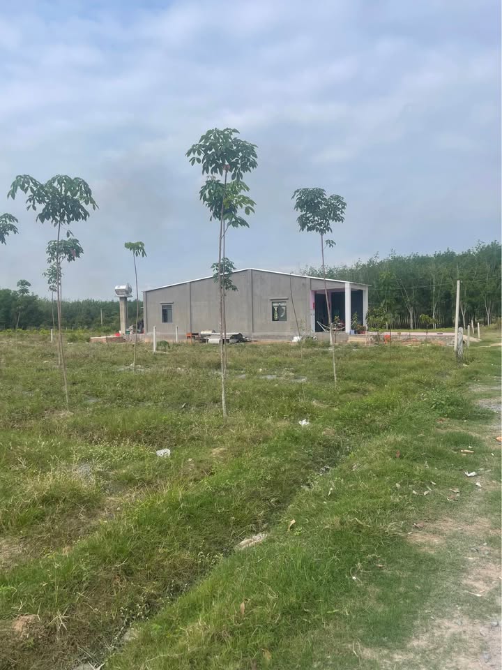 Bán Đất Nền Mặt Tiền Đường Đá Bi, Long An - 544m² Giá 680 Triệu