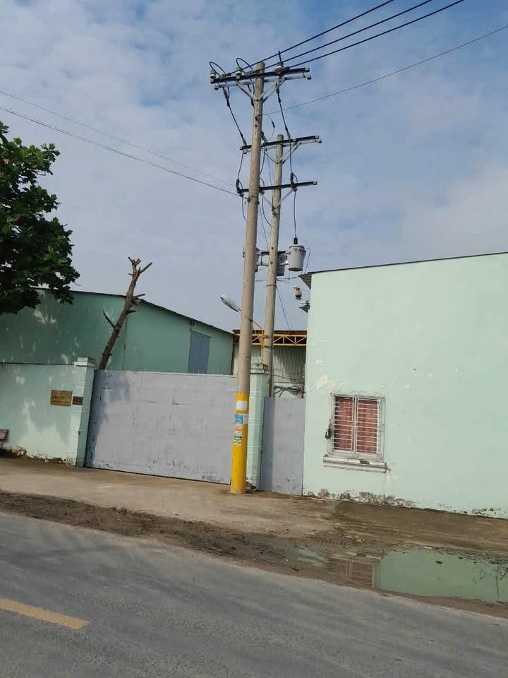 Xưởng Mỹ Hạnh Nam, Đức Hòa 800m² – Gần KCN, Container thoải mái!