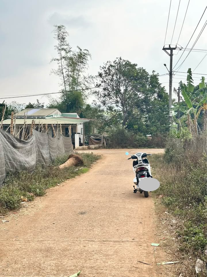 Đất Nền Làng Wau, Pleiku - 180m² Sổ Đỏ Sẵn Sàng