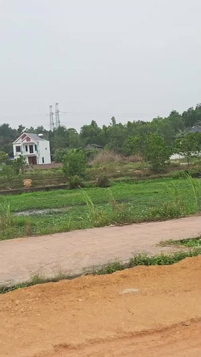 Đất Đấu Giá Vĩnh Phúc 100m² - Cạnh Góc, Băng 2 ĐT310, Giá 2.2 Tỷ