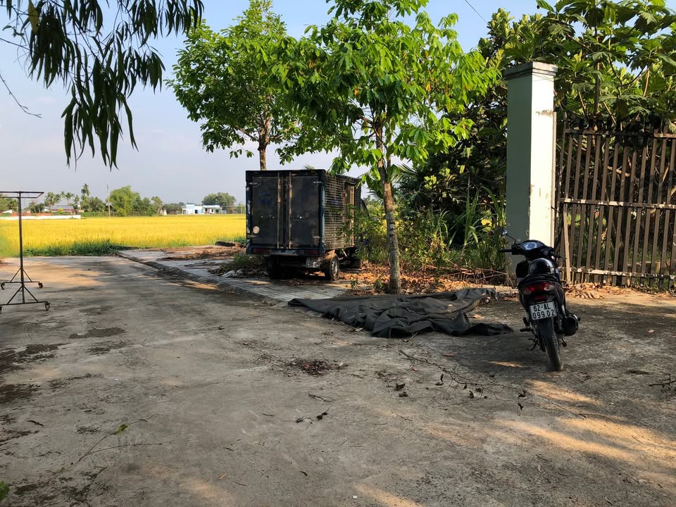 Đất nền Ấp Giồng Lớn Mỹ Hạnh 1.100m² giá 1.9 tỷ - Sổ đỏ chính chủ