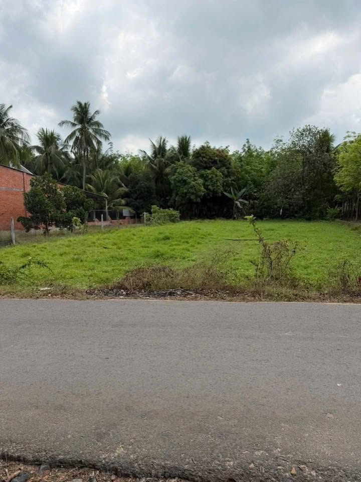 Đất nền Xã Phan, Dương Minh Châu 860m² - Đất thổ cư 100%!