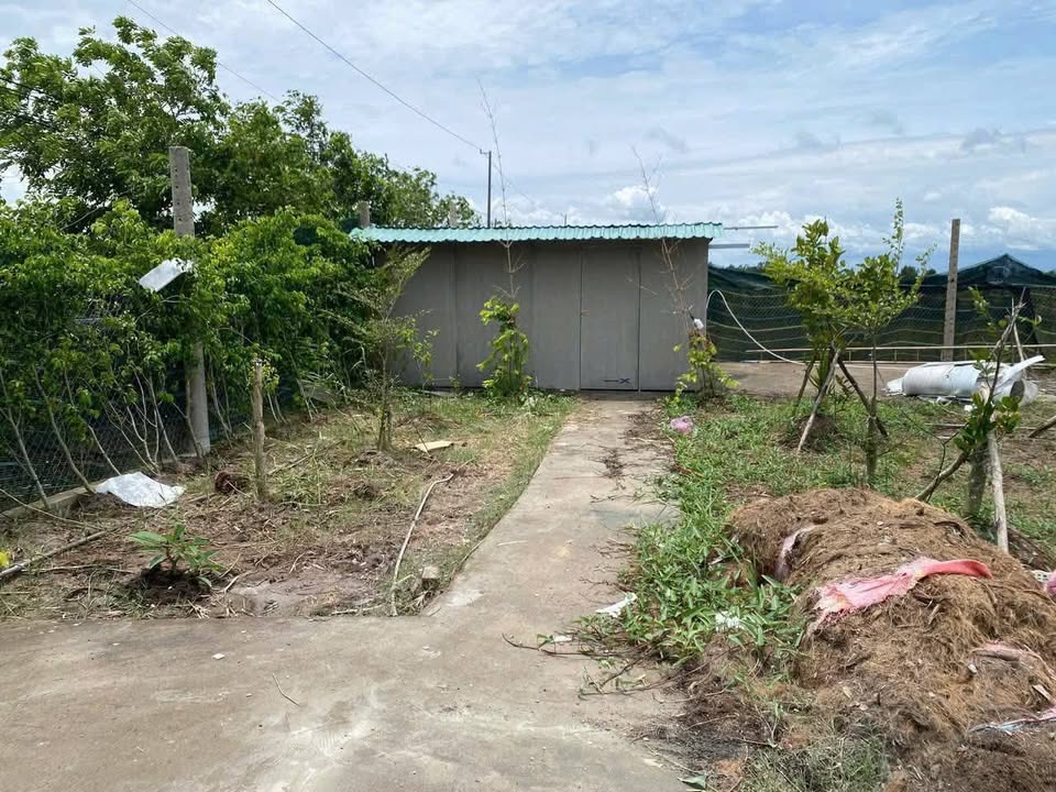 Đất nền Tân Nhựt Bình Chánh 2000m² chỉ 7.5 tỷ - Tiềm năng tăng giá vượt trội!