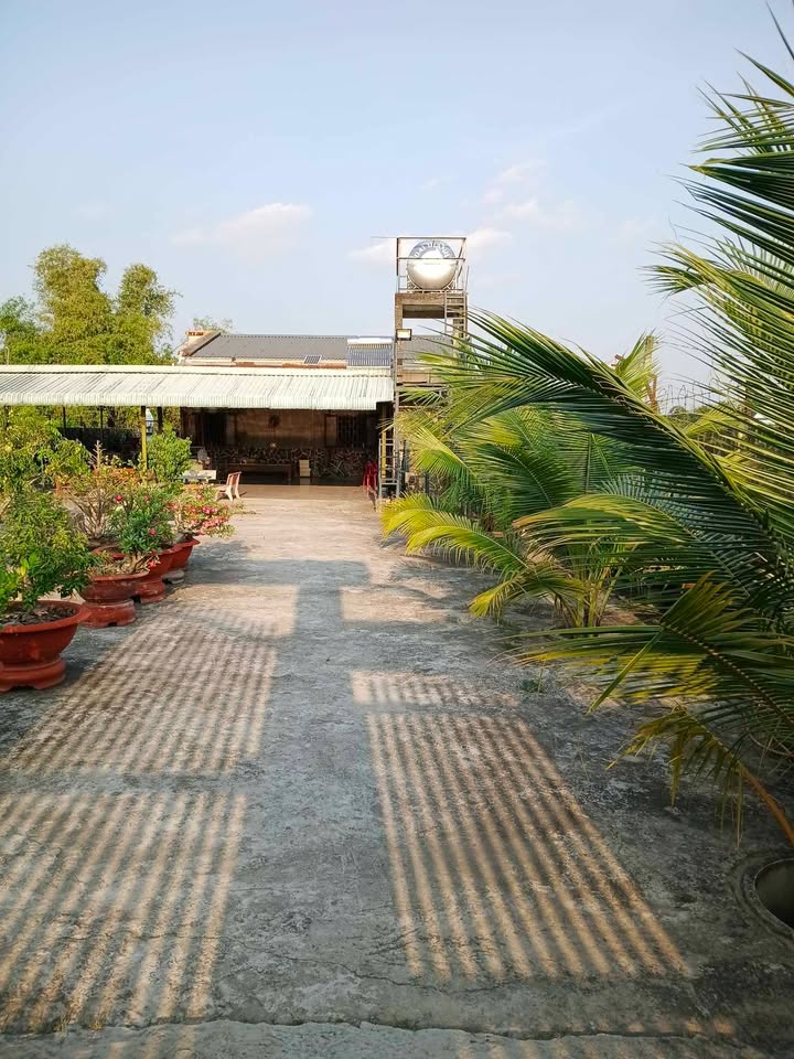 Đất Vườn Long An 864m² - Nhà Vườn, Cây Lâu Năm, Sổ Đỏ Riêng - 8.3 Tỷ