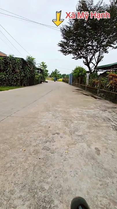 Bán Gấp 2 Lô Đất 165m² Sổ Hồng Chính Chủ Tại Đức Hòa, Long An - Giá 1 Tỷ/Lô