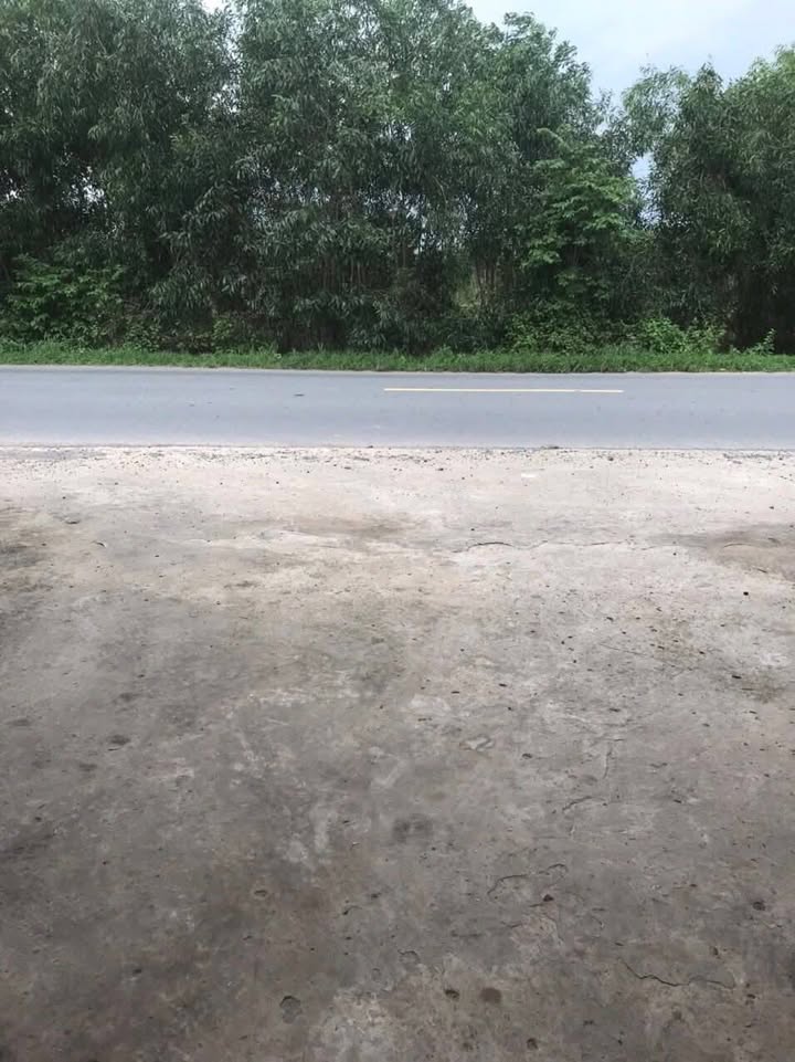 Bán Gấp Xưởng & Nhà Cấp 4 Mặt Tiền Đường N2, Đức Hòa - 1350m² Giá Tốt