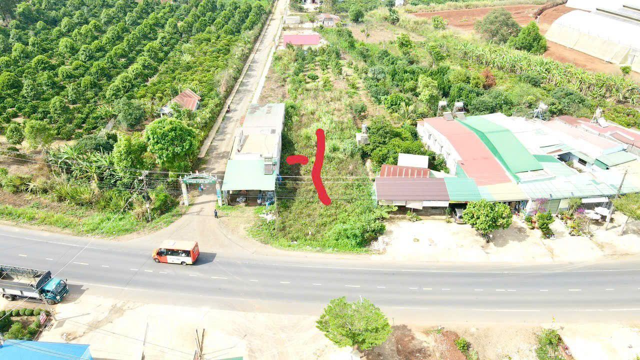 Nhà Phố QL20 Di Linh Lâm Đồng 375m² - Mặt tiền kinh doanh đắc địa!