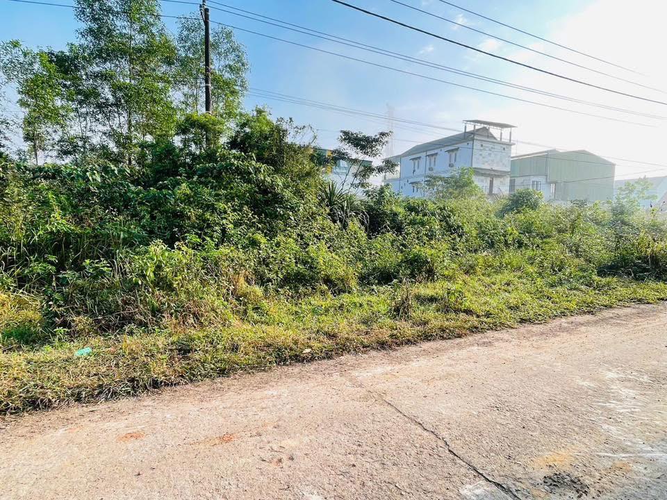 Bán Gấp Biệt Thự 425m² Phong Mỹ, Thừa Thiên Huế - Giá 8xx Triệu