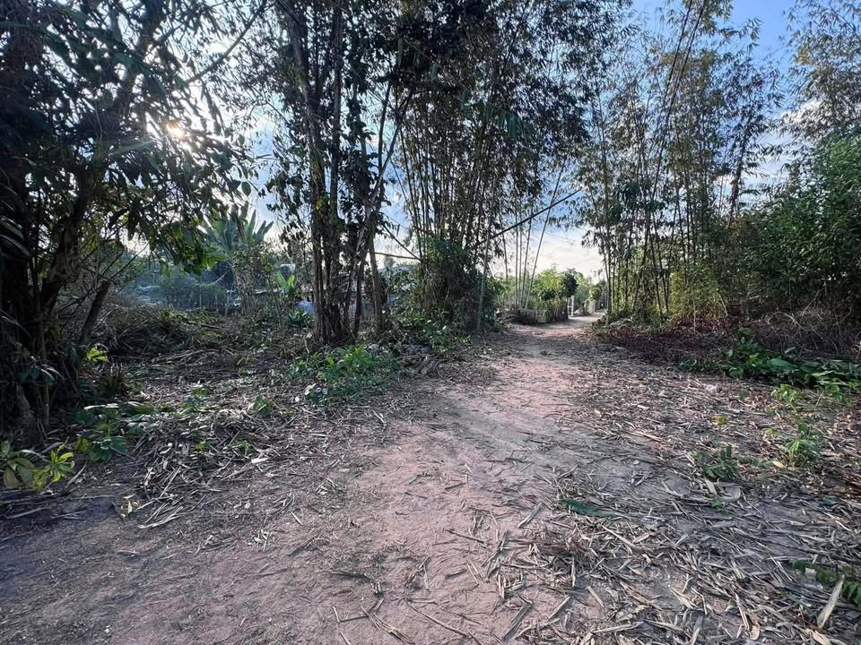 Đất nền Phú Hoà Đồng Nai 1.000m² giá 750tr - Đất thổ cư