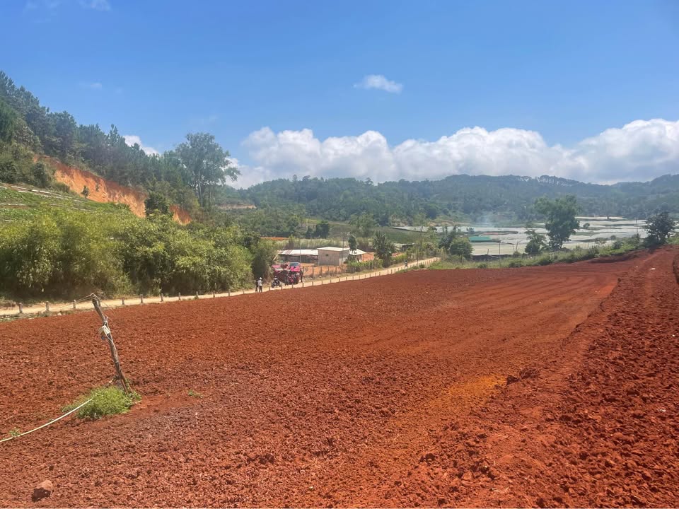 Đất Đà Lạt 200m² Thổ Cư 72m² - Giá 395 Triệu - Gần UBND Xã Lộc An