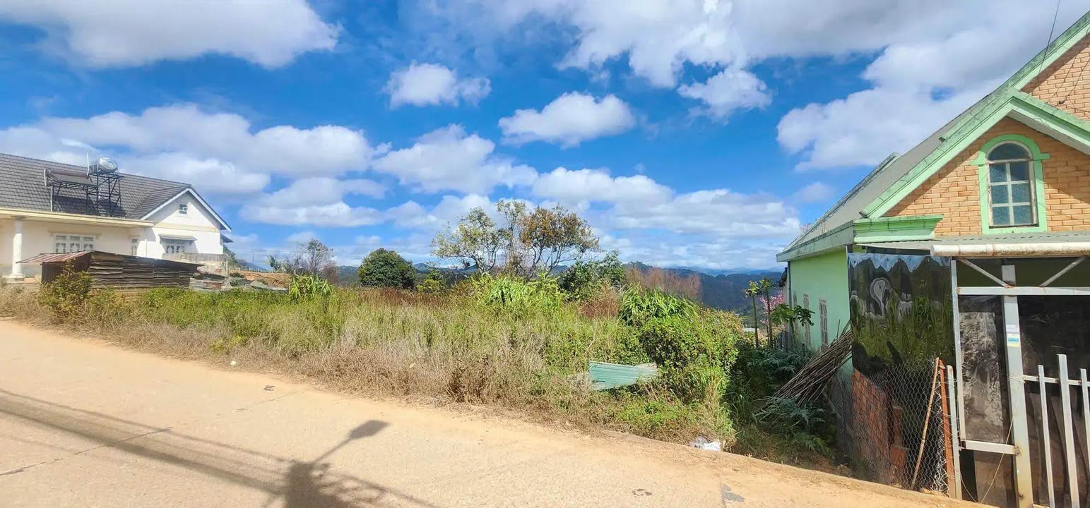 Đất Nền Đà Lạt 797m² - View Đồi Thông 11 Tỷ, Sẵn 400m² Đất Ở
