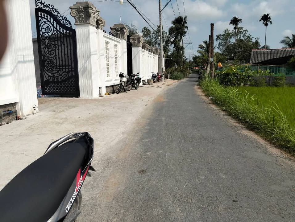 Đất nền mặt tiền nhựa Tháp Mười, Đồng Tháp - Sổ hồng 100% thổ cư