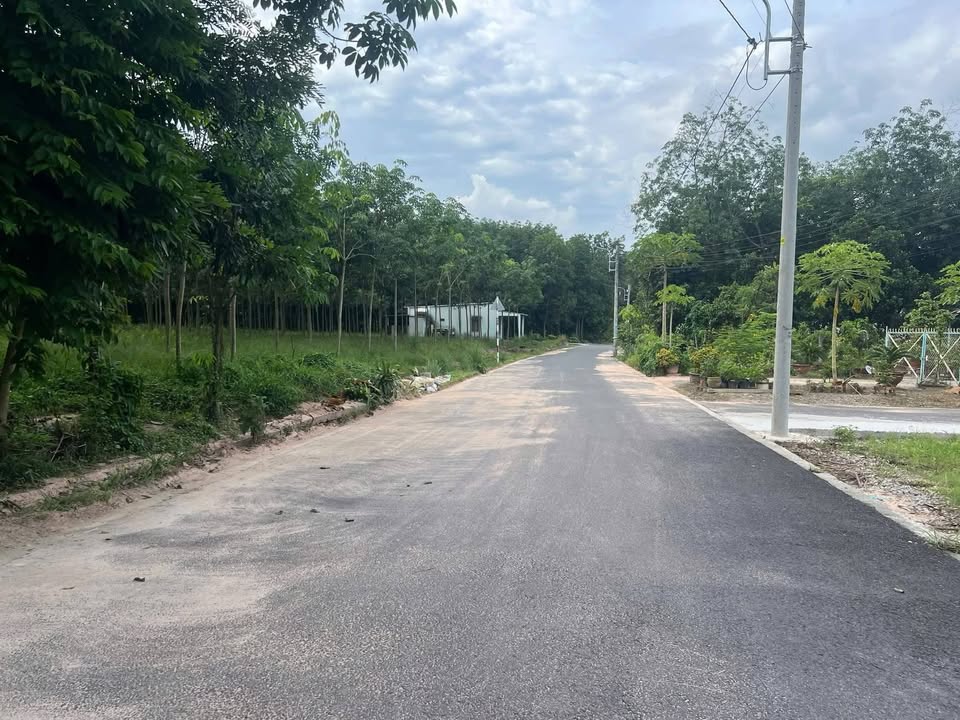 Đất nền Hòa Lợi, Bến Cát 1440m² - Đất thổ cư 100%