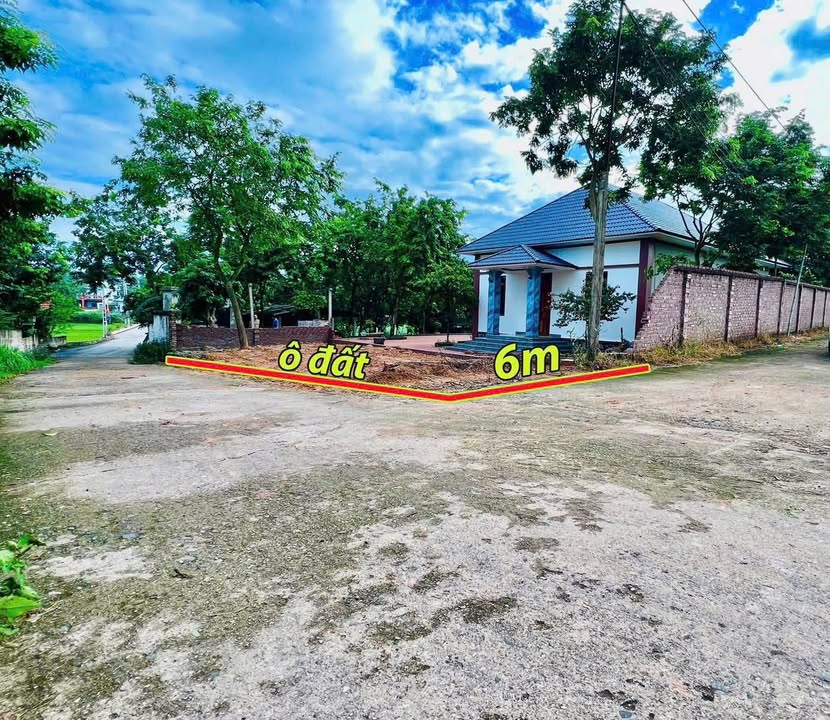 Đất nền Hoàng Hoa Tam Dương 114.4m² - Đường to ô tô, tiềm năng sinh lời!