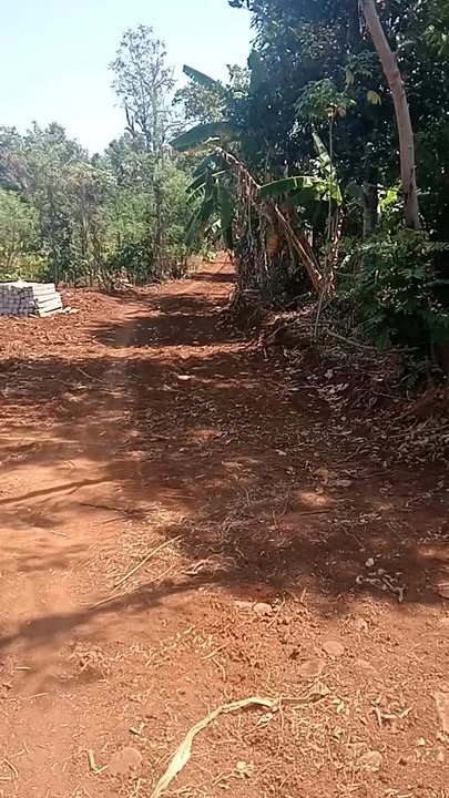 Đất vườn Buôn Ma Thuột 6000m² - 2.13 tỷ - Đất đỏ bazan cực đẹp!