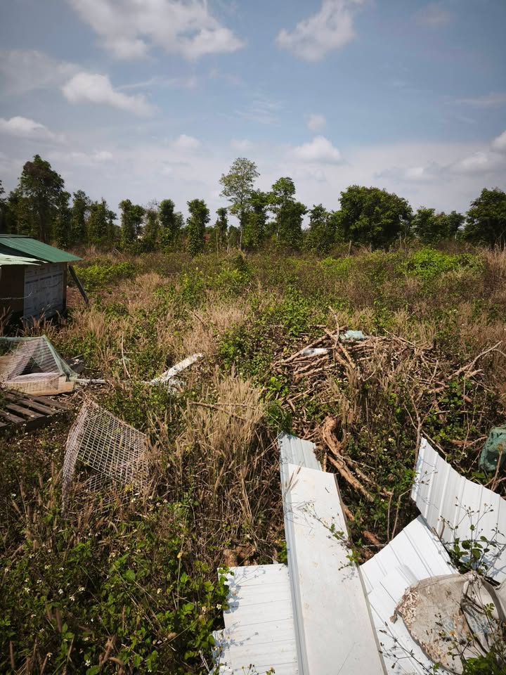 Đất nền Buôn Ma Thuột 1000m² - Sổ đỏ chính chủ, giá 450 triệu!