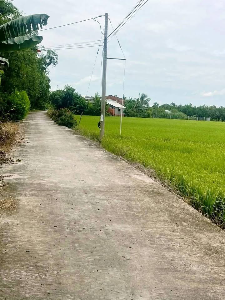 Đất Vườn Tiền Giang 18 Công Sổ Hồng Sẵn Sàng - Đầu Tư Sinh Lời