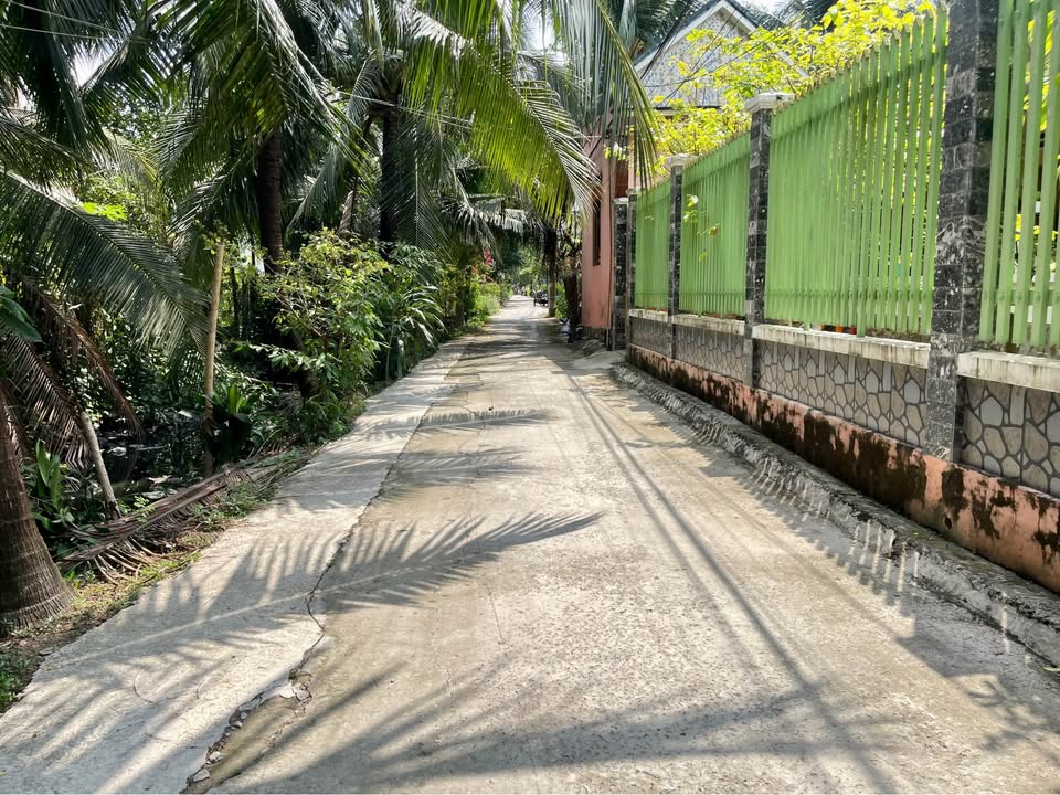 Bán Đất Thổ Cư Cao Lãnh 100m² Sổ Đỏ, Ô Tô Tới Đất