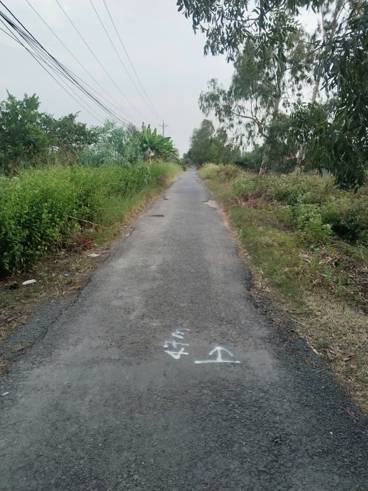 Bán Đất 3288m² 2 Mặt Tiền Ấp Hòa Nam, Đông Hải - Sổ Đỏ, Giá Tốt