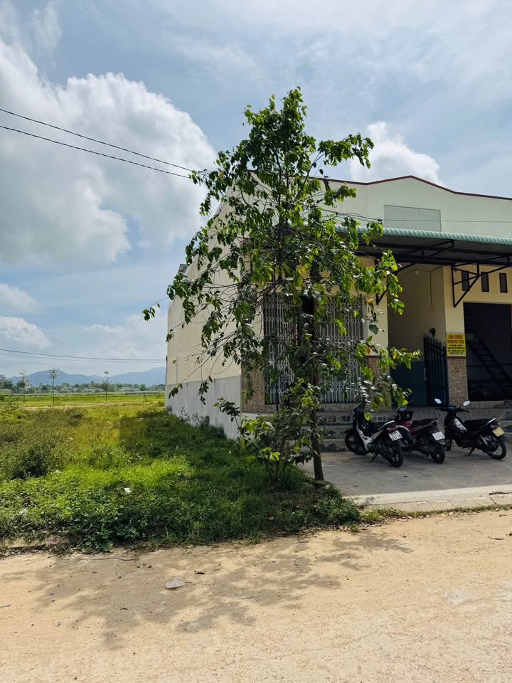 Đất nền Phường Đập Đá, An Nhơn 250m² - Tiềm năng tăng giá cực lớn!