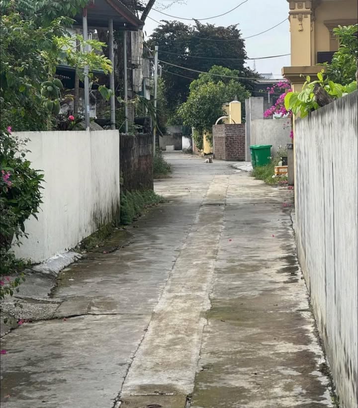 Đất nền An Dương 67m² 1.2 tỷ - Đường to ô tô, tiềm năng lớn!