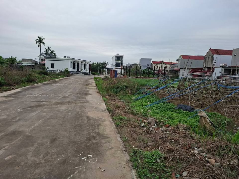 Đất nền 112.5m² đấu giá Kiến Phong, Hải Phòng - Giá 2.59 tỷ