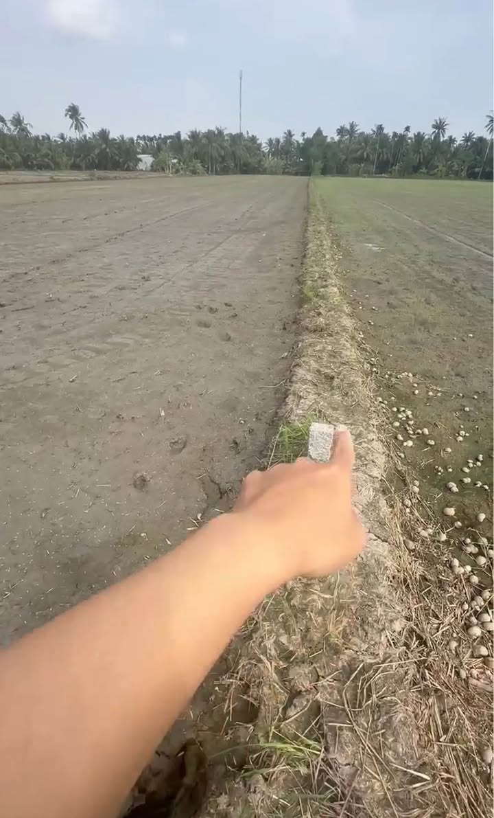 Đất nền Ấp Thạnh Hoà, Vị Thanh 6440m² - Sổ đỏ sẵn, tiềm năng đầu tư