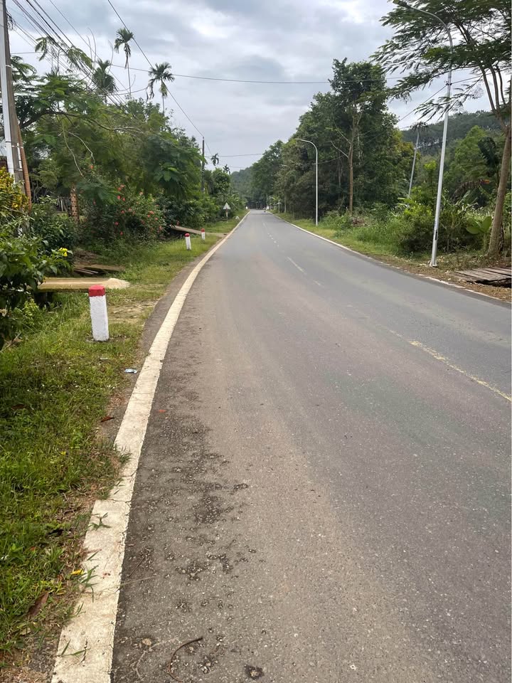 Đất Mặt Tiền Đường Nhựa Củ Chi 288m² - Sổ Hồng Thổ Cư, Giá Tốt